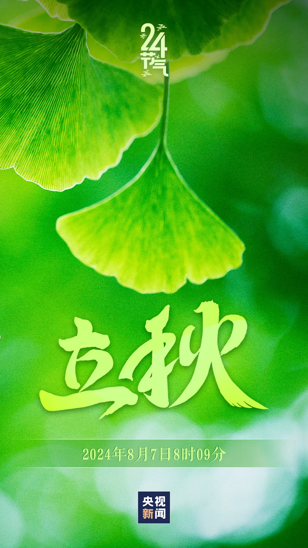今日，立秋