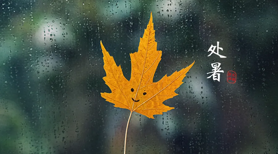 今日處暑，暑去涼來